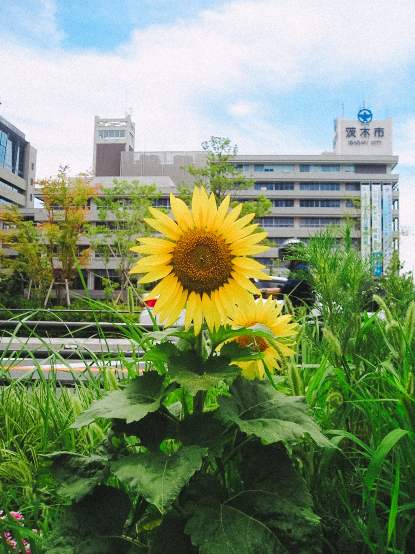 OLYMPUS X-200