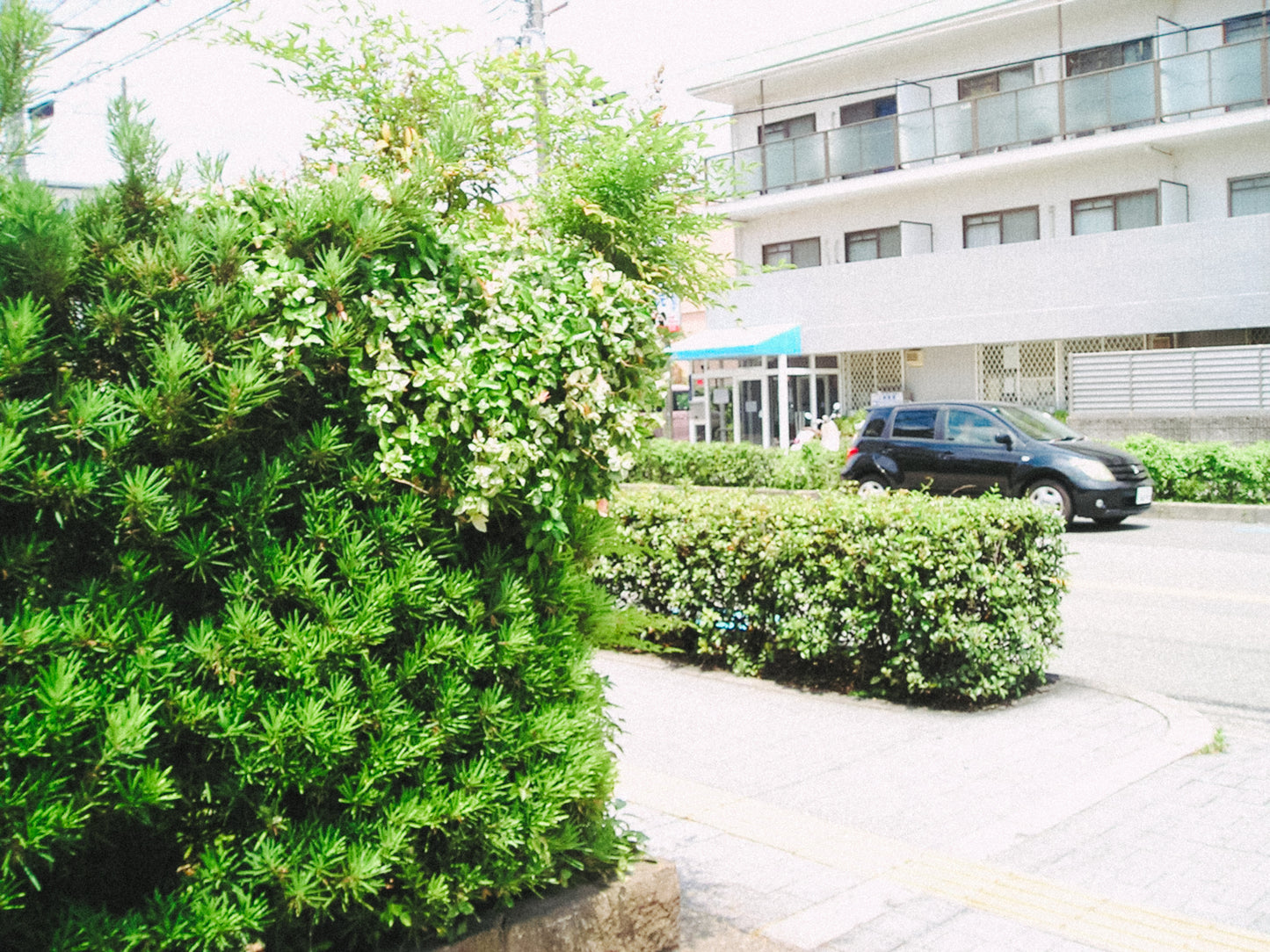 OLYMPUS X-200