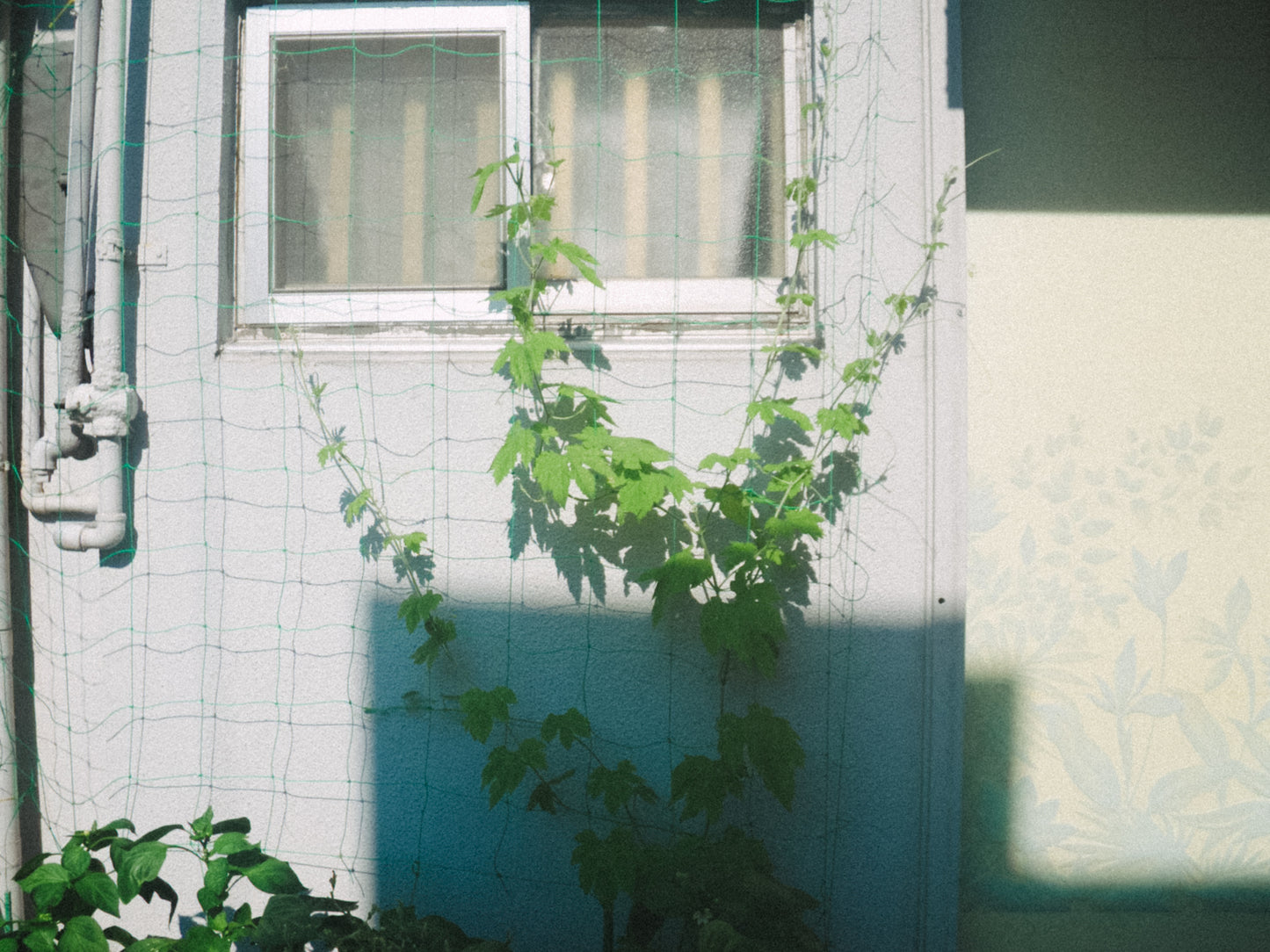 PENTAX Optio W80