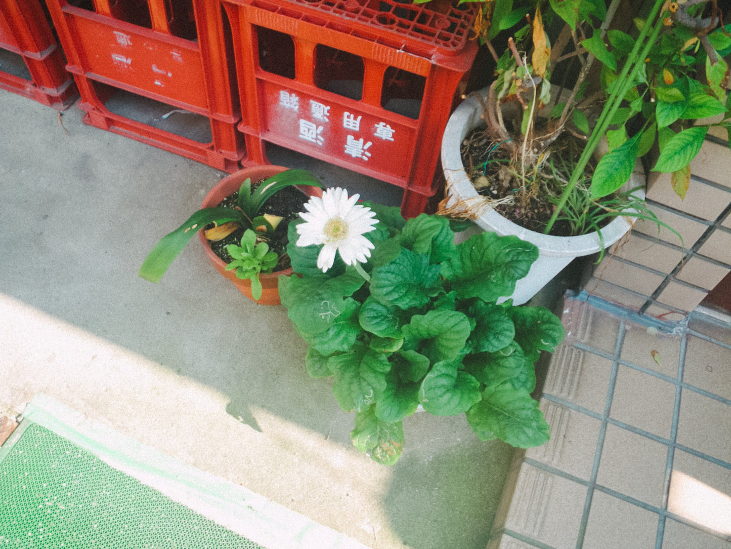 PENTAX Optio W80