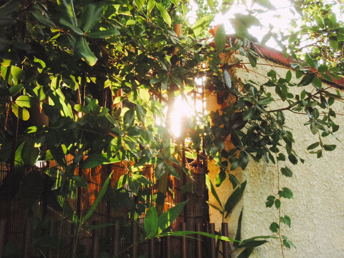 OLYMPUS μ790 SW