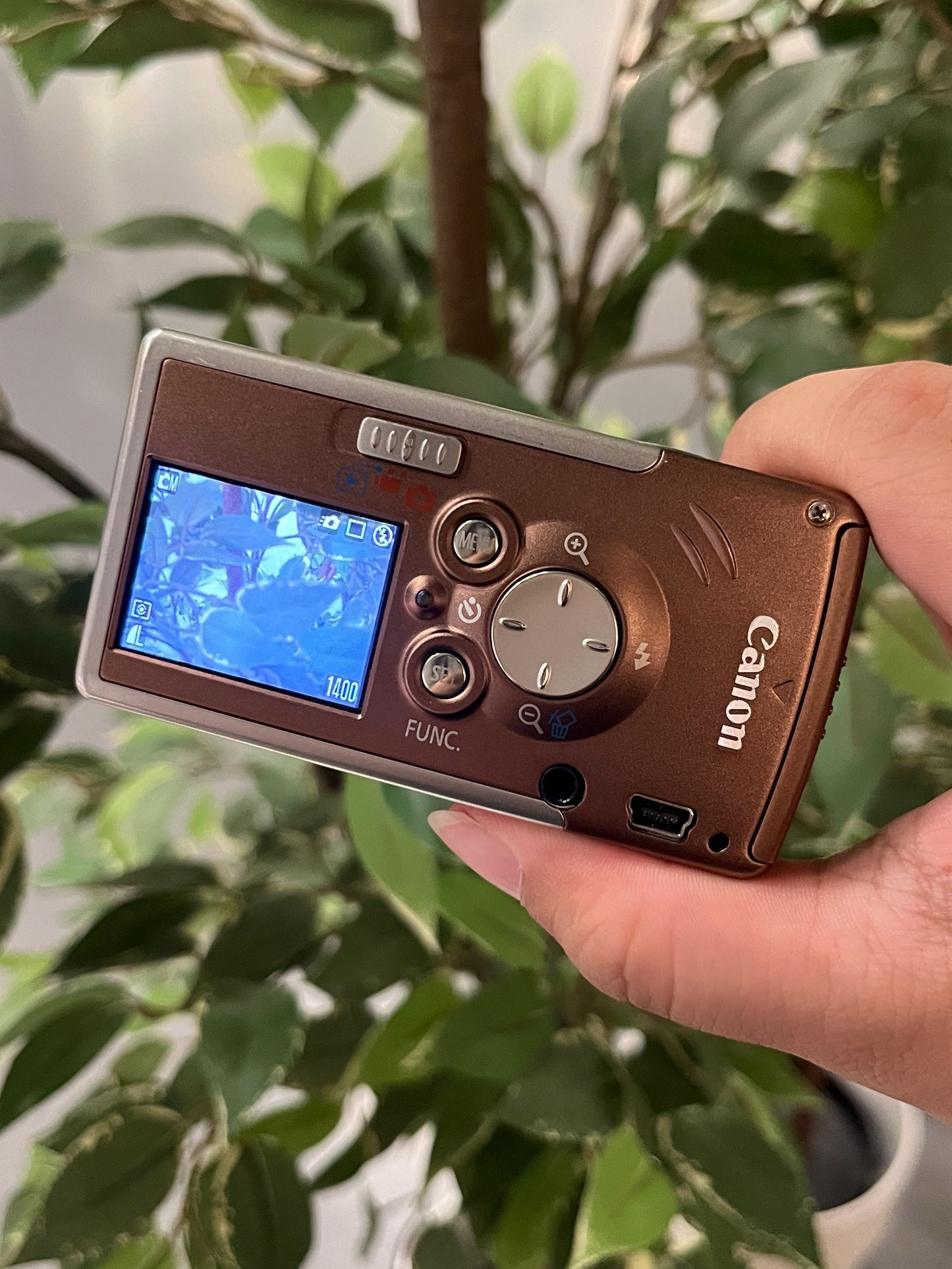 Canon IXY DIGITAL L1