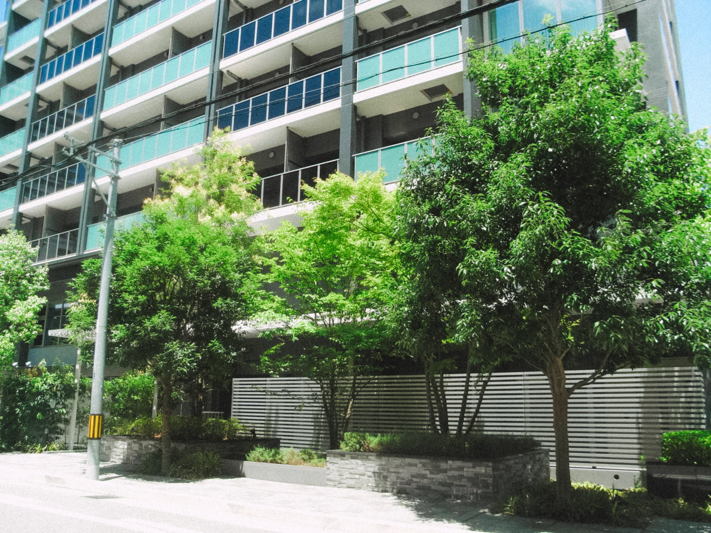 RICOH Caplio R6