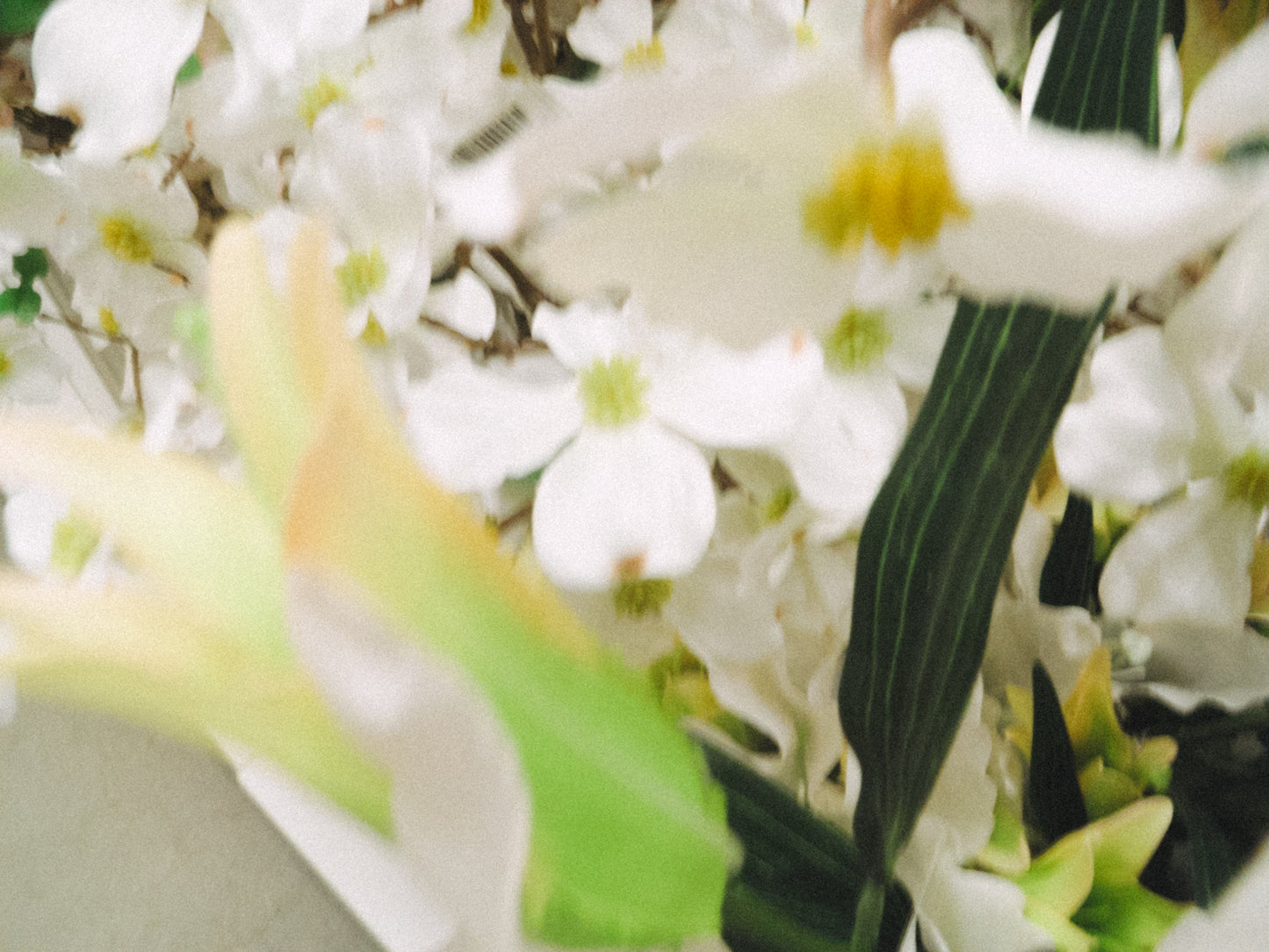 RICOH Caplio R6