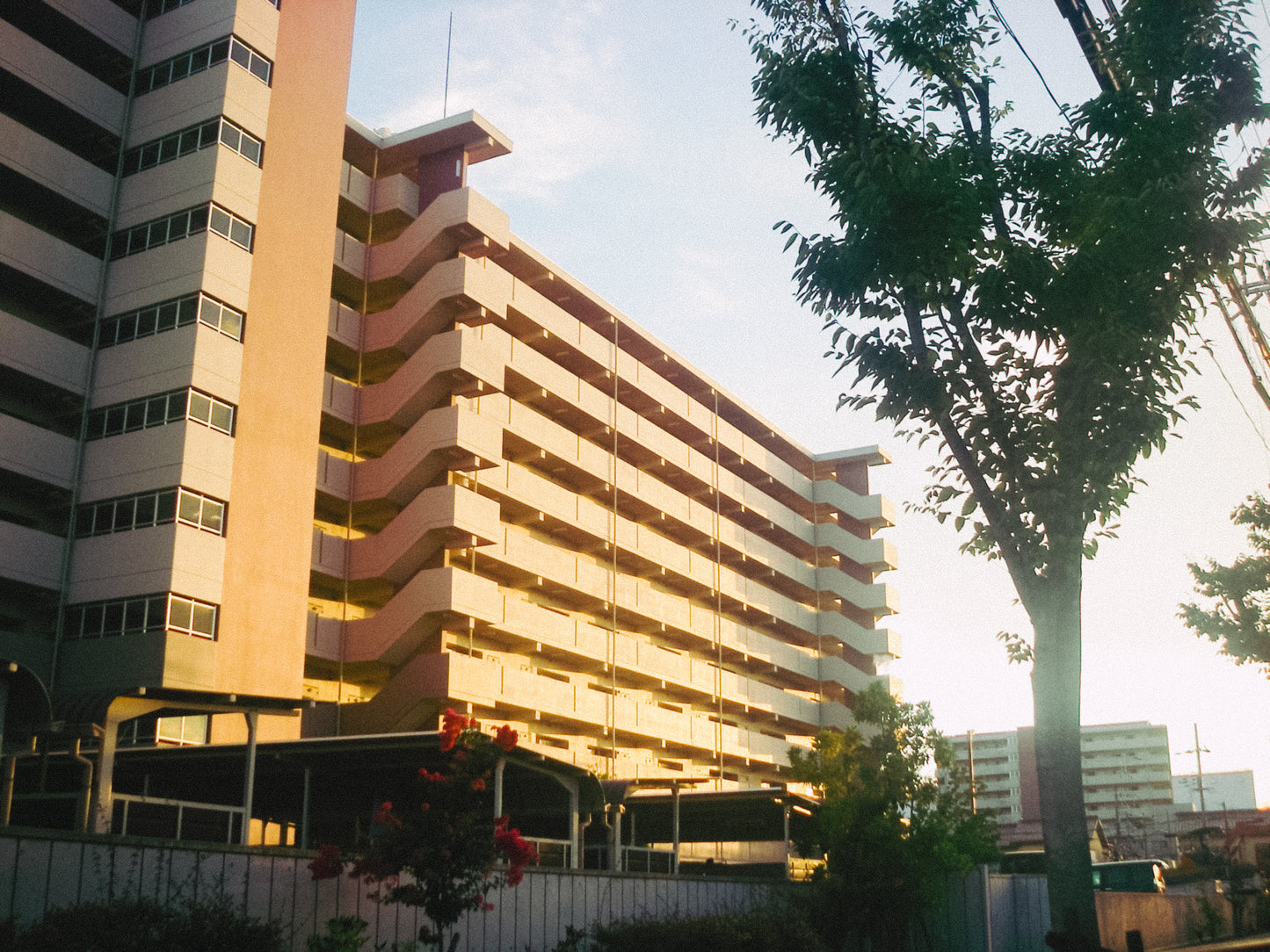 PENTAX Optic W20