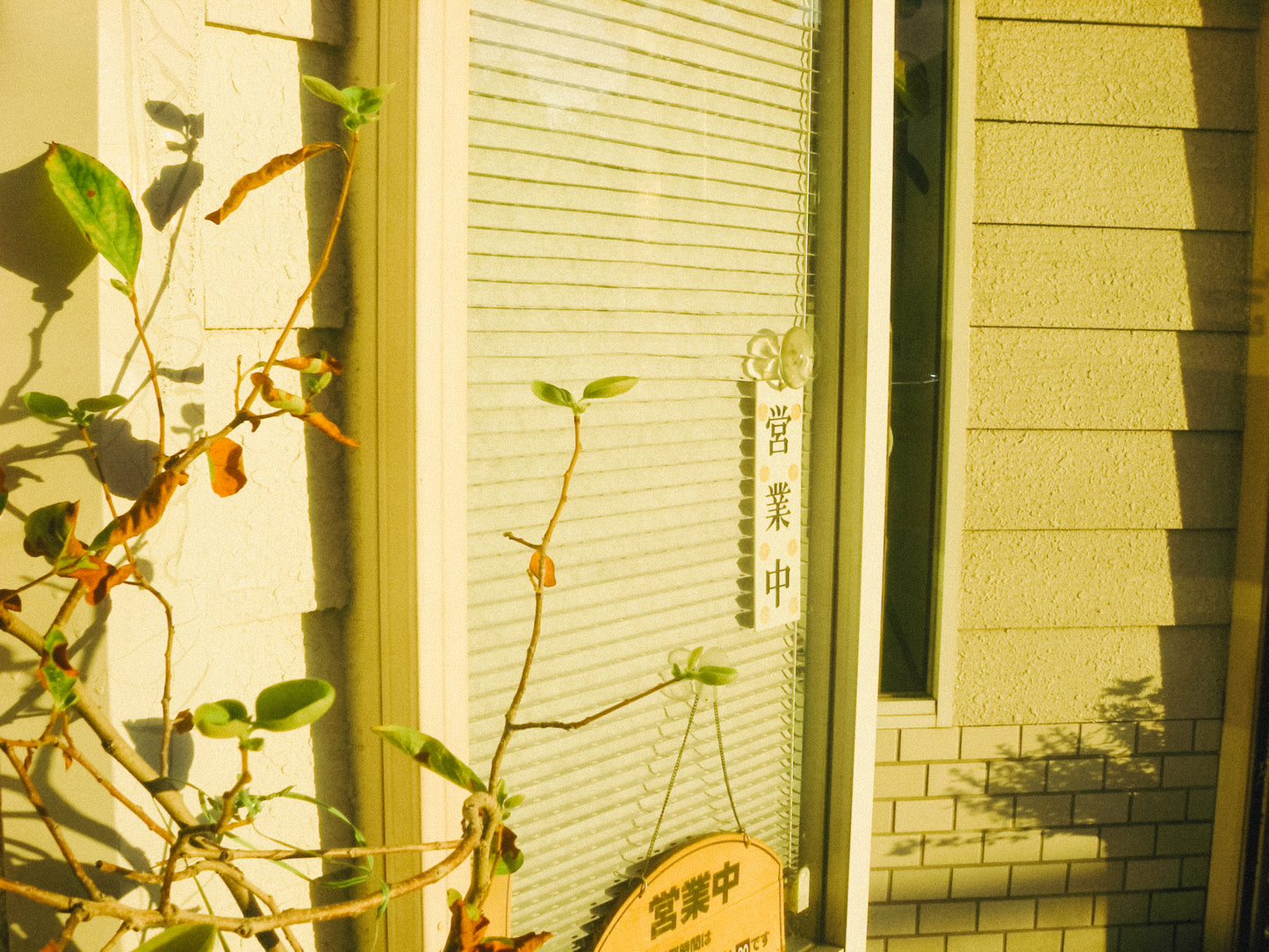 PENTAX Optic W20