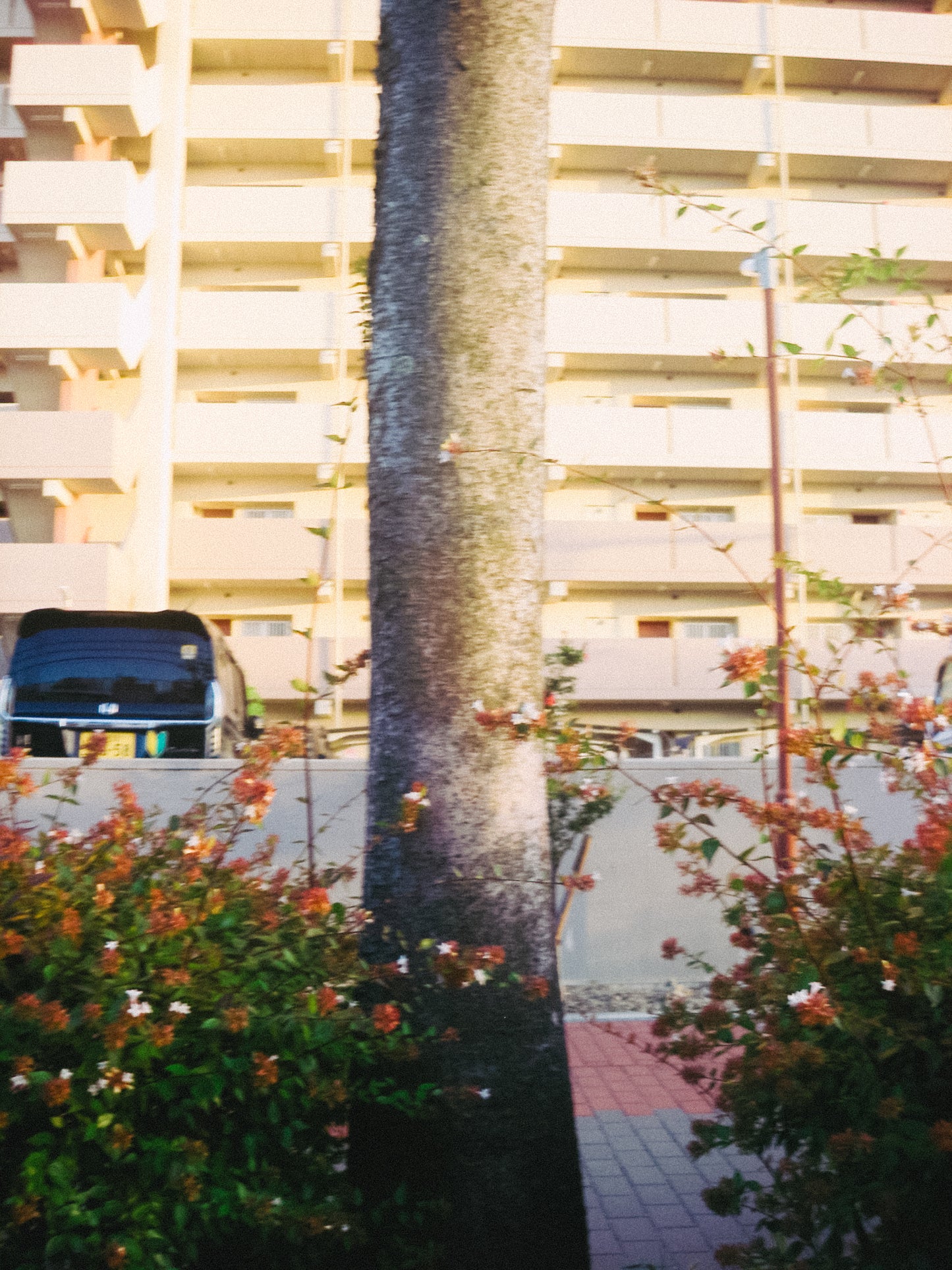 PENTAX Optic W20
