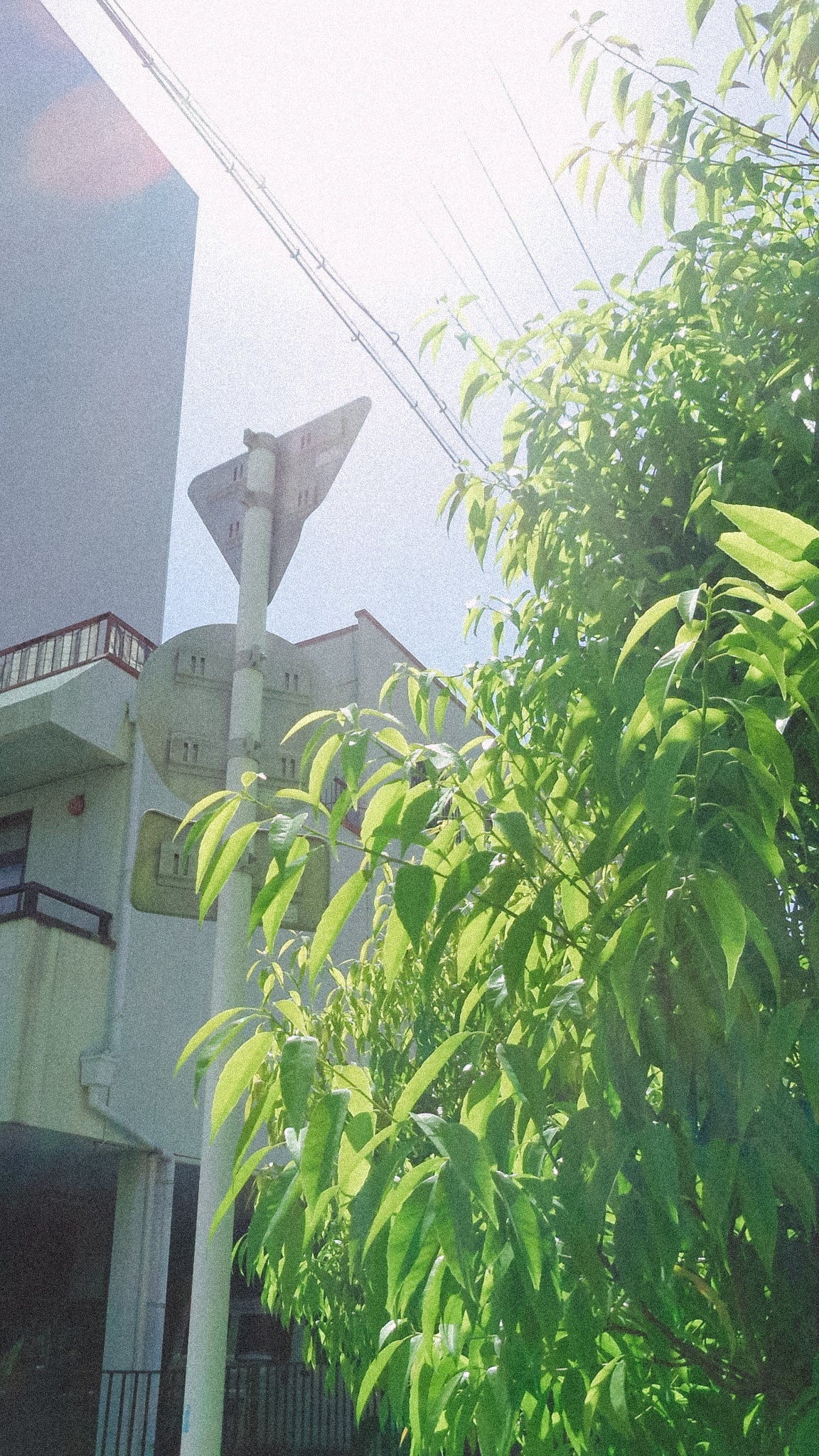 PENTAX Optio LS465
