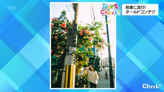 宮崎放送『情報番組 Check！』で紹介されました！ – “古いデジカメ”が描く、新しい表現