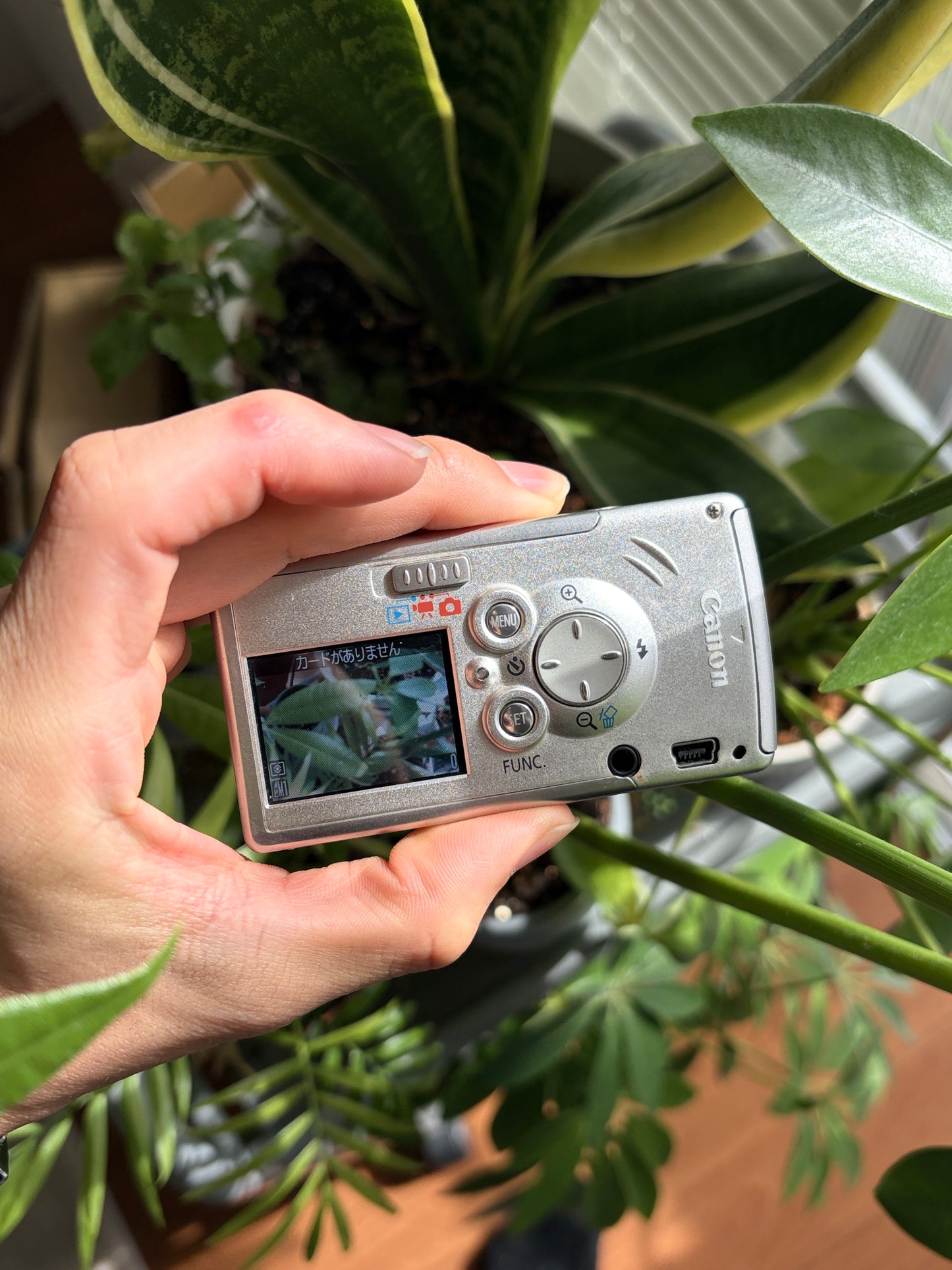Canon IXY DIGITAL L