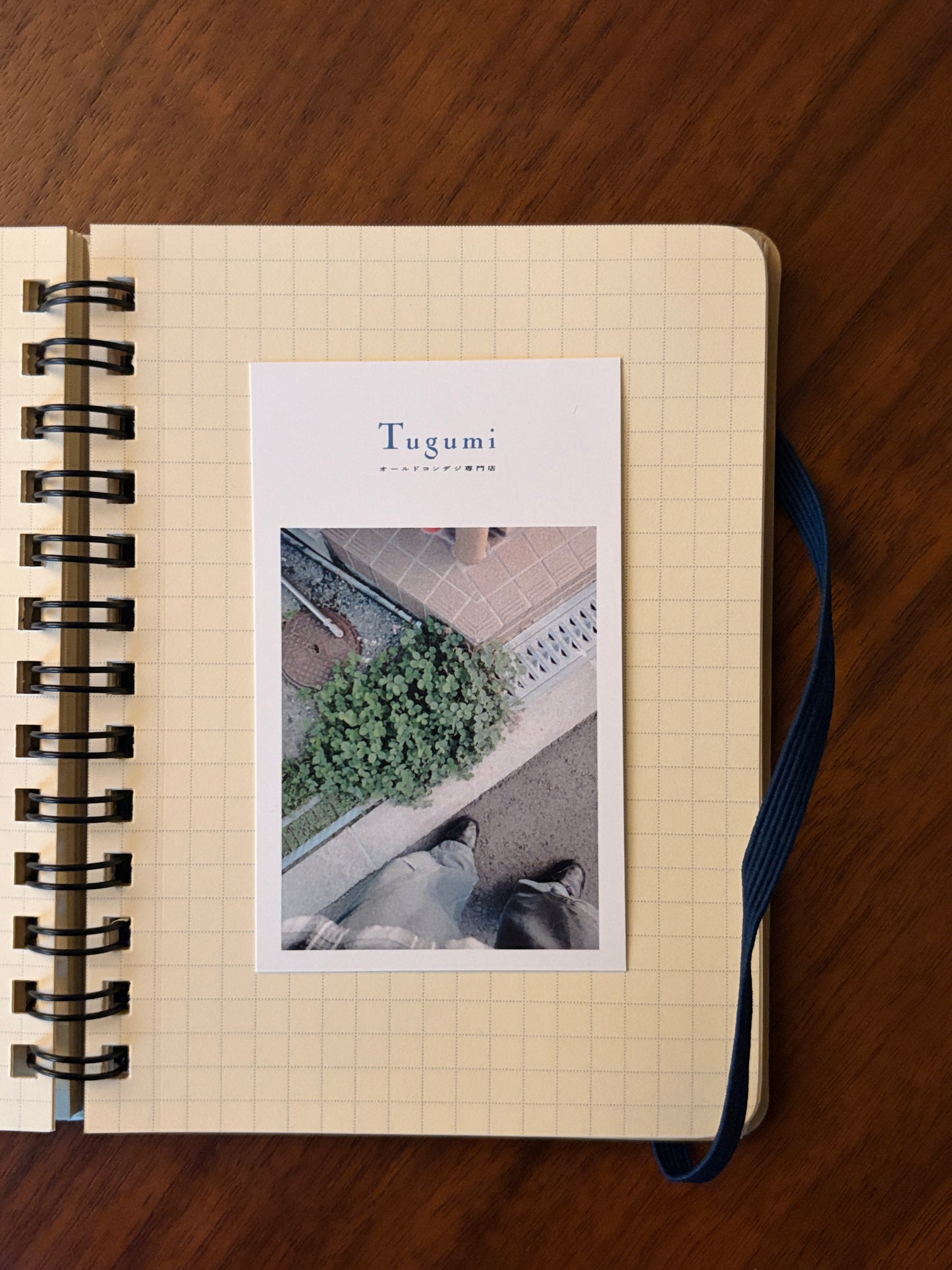 Tugumi フォトカード（ショップカード）3枚セット