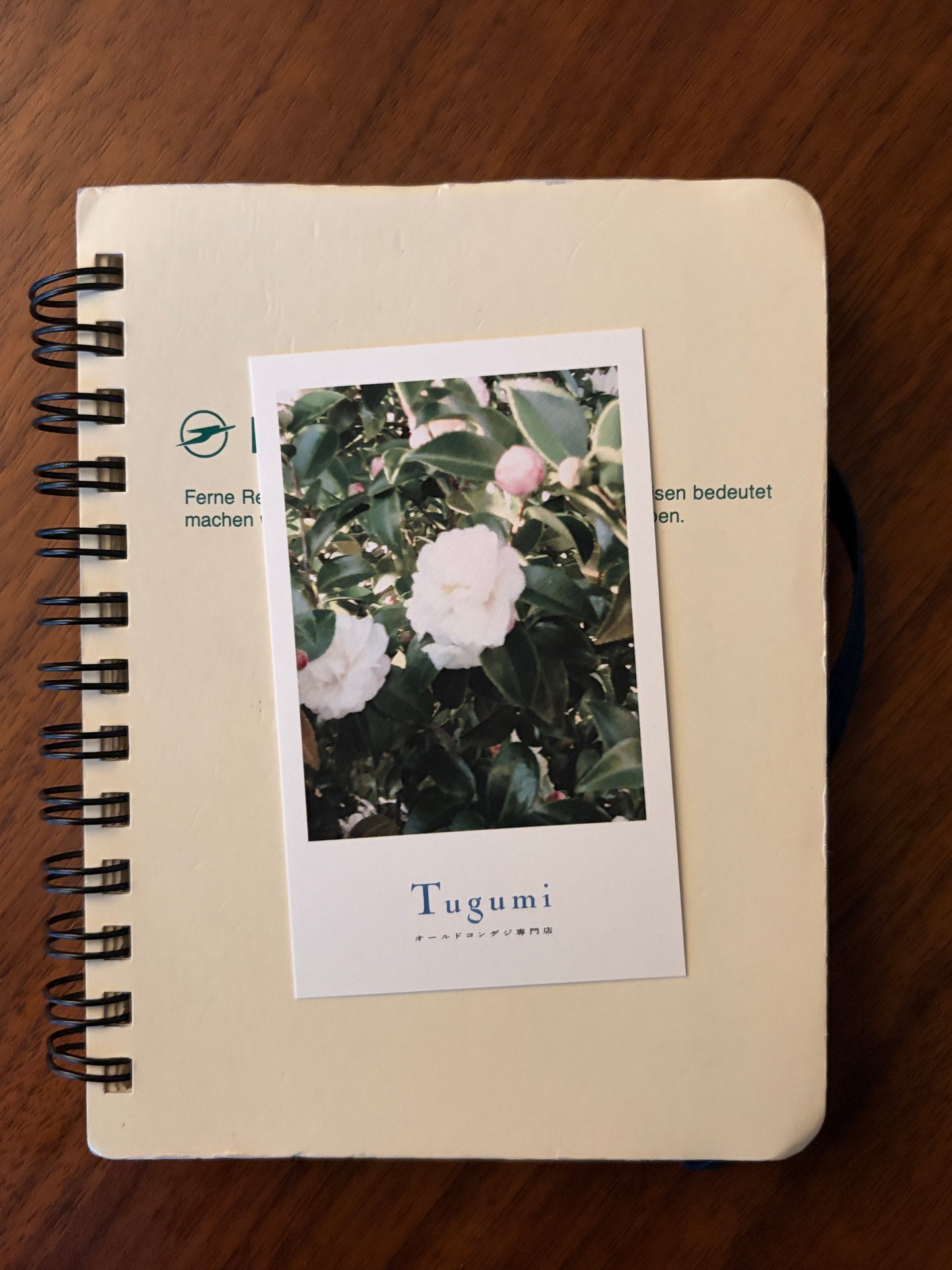 Tugumi フォトカード（ショップカード）3枚セット