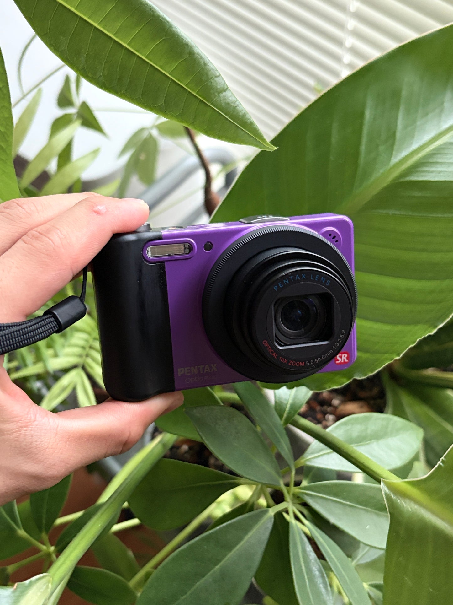 PENTAX Optio RZ10 [ Purple or White ]