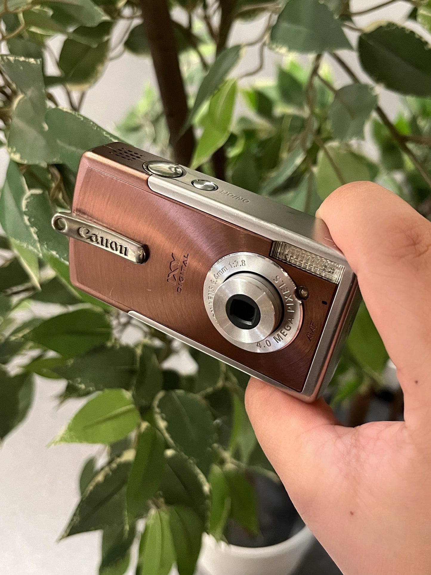 Canon IXY DIGITAL L1