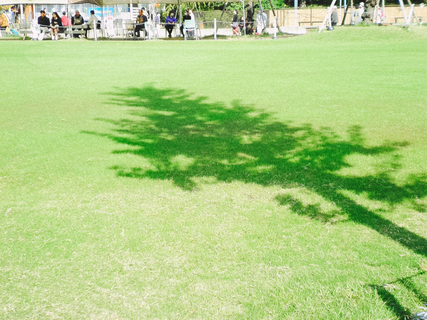 SANYO Xacti  DSC-X1260