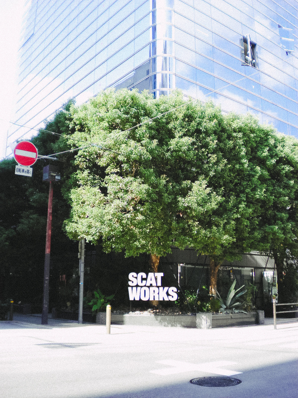 SANYO Xacti  DSC-X1260