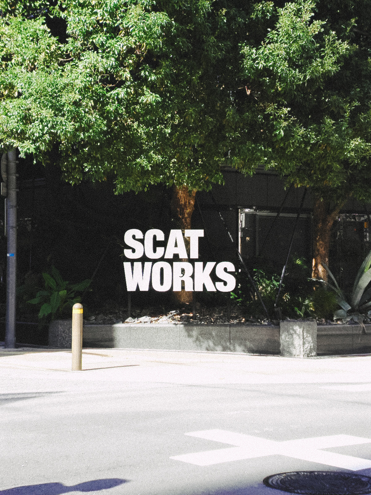 SANYO Xacti  DSC-X1260