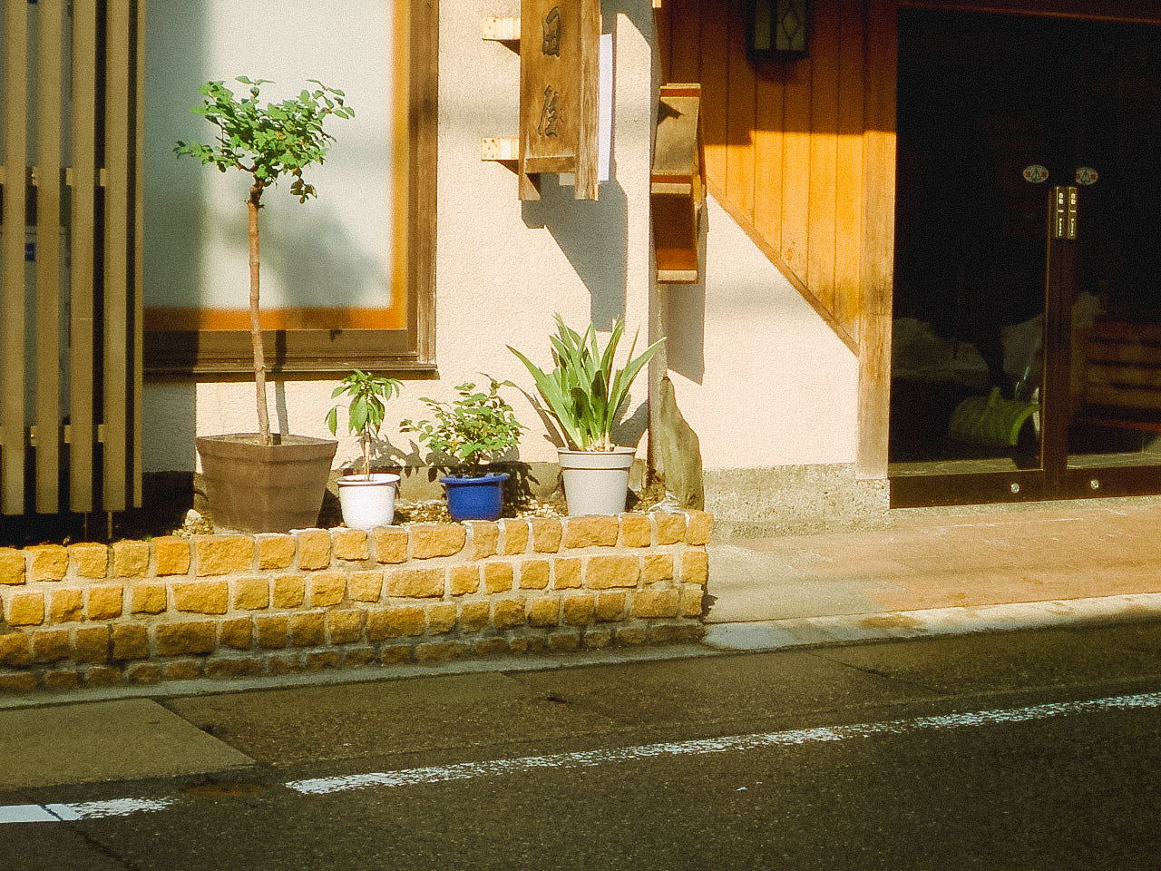 KONICA MINOLTA DIGITAL現場監督 DG-5W 