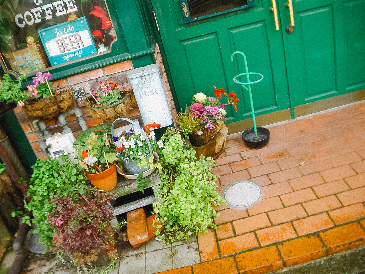 KONICA MINOLTA DIGITAL現場監督 DG-5W 