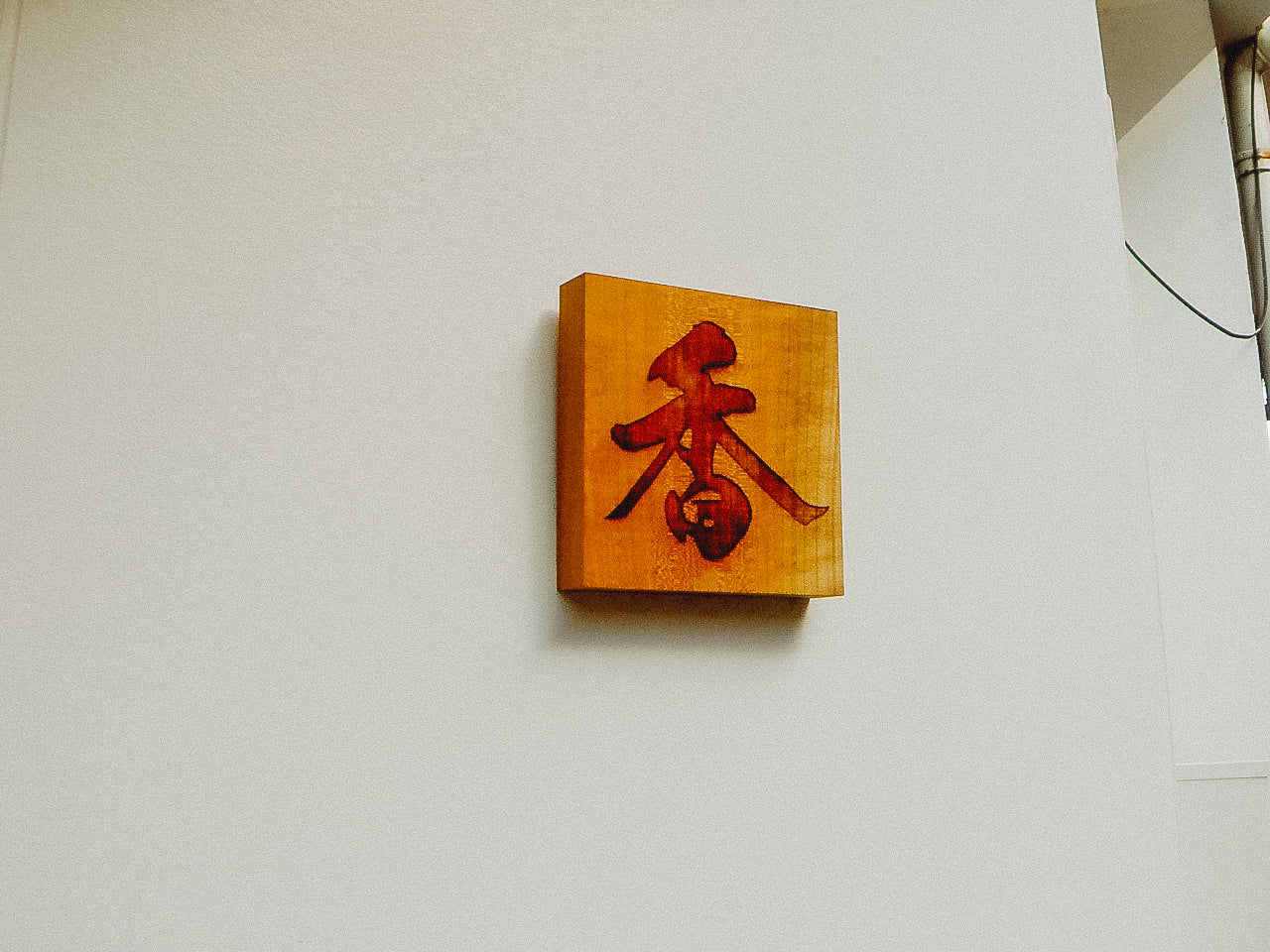 KONICA MINOLTA DIGITAL現場監督 DG-5W 