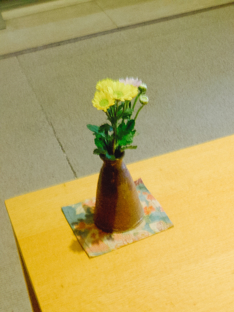 KONICA MINOLTA DIGITAL現場監督 DG-5W 