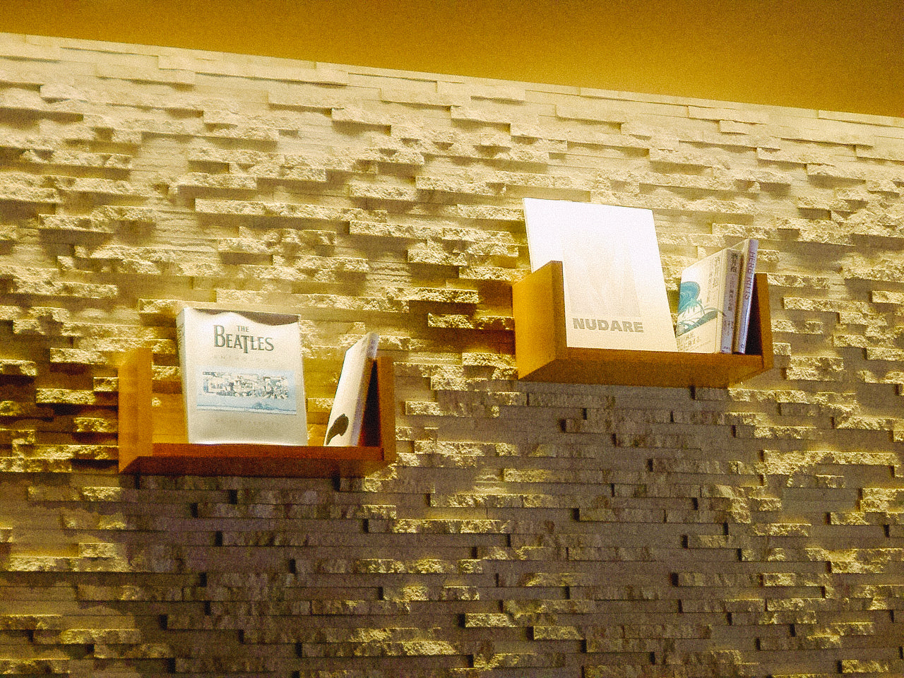 KONICA MINOLTA DIGITAL現場監督 DG-5W 