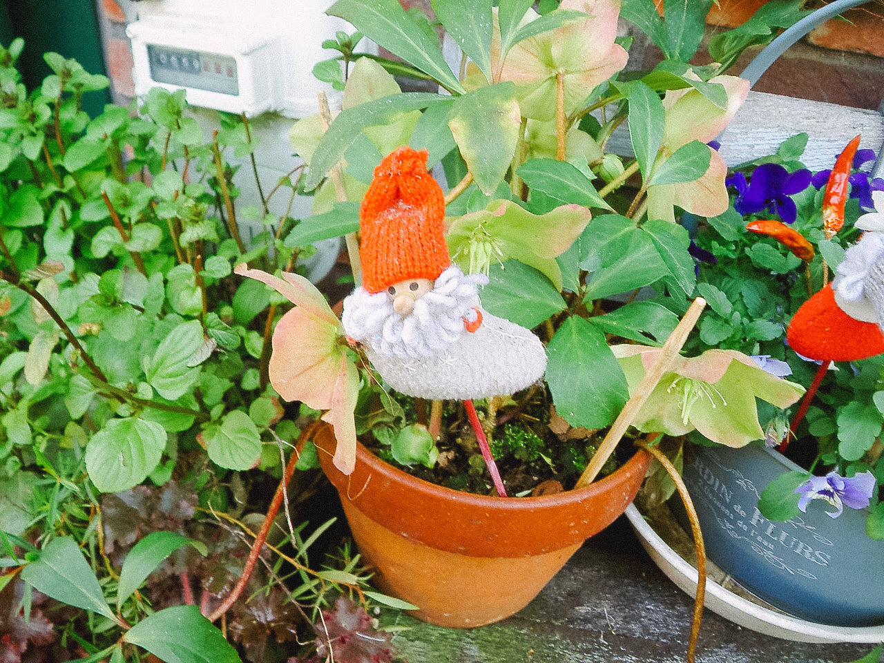 KONICA MINOLTA DIGITAL現場監督 DG-5W 