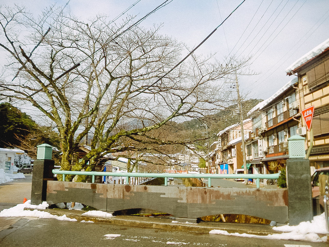 KONICA MINOLTA DIGITAL現場監督 DG-5W 