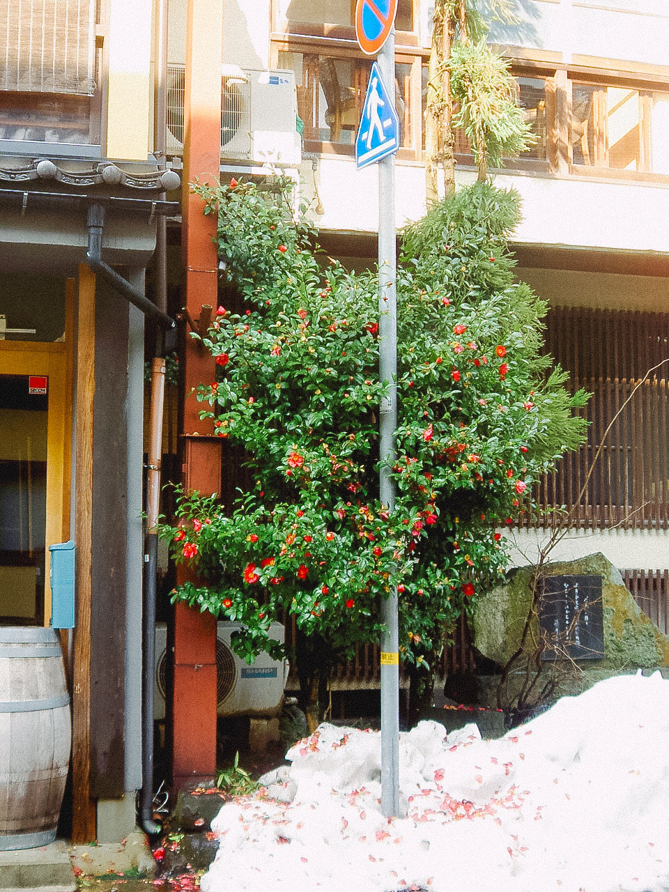 KONICA MINOLTA DIGITAL現場監督 DG-5W 