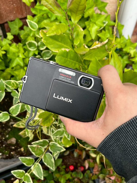 LUMIX DMC-FP1