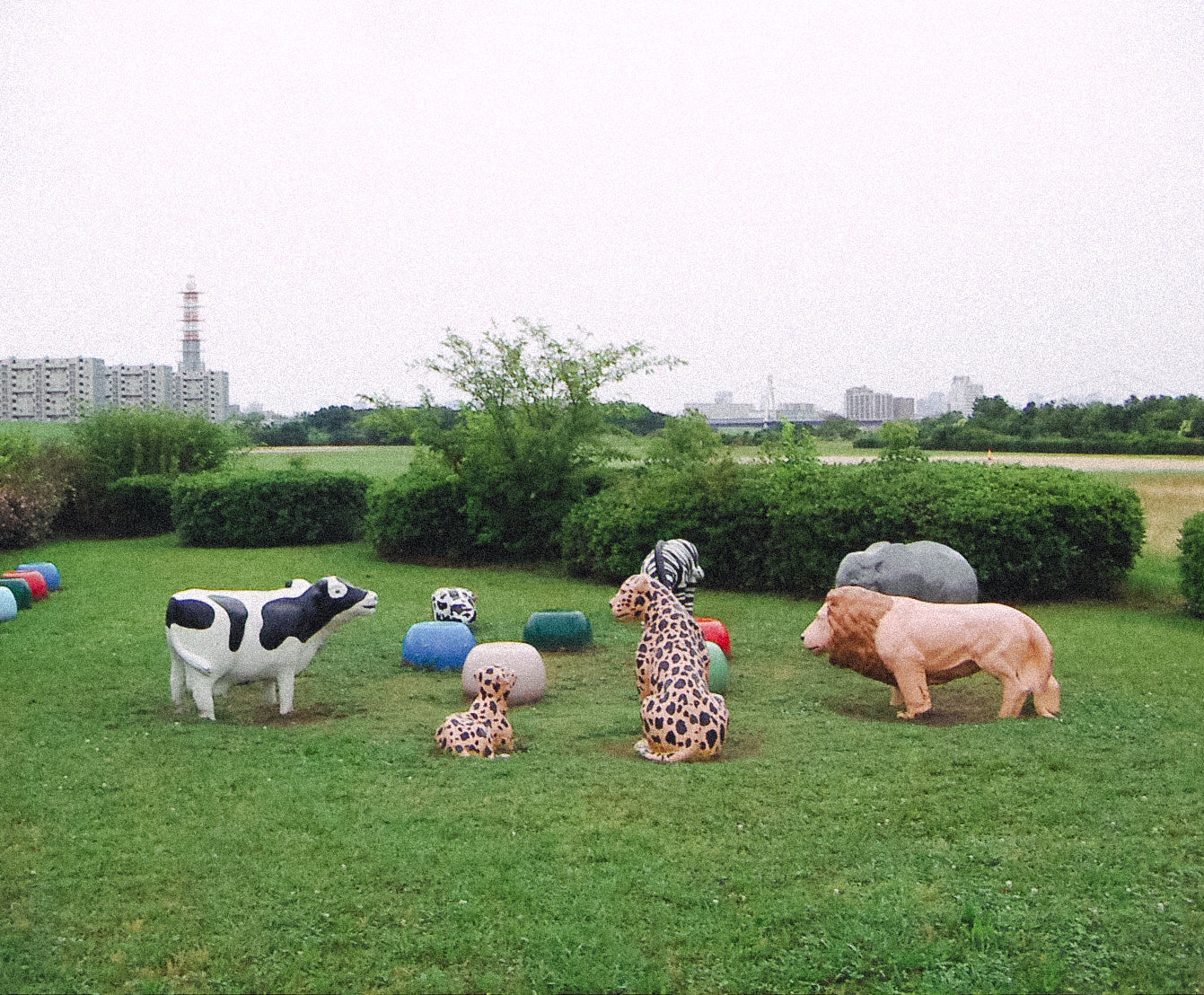 KONICA MINOLTA DIMAGE X31