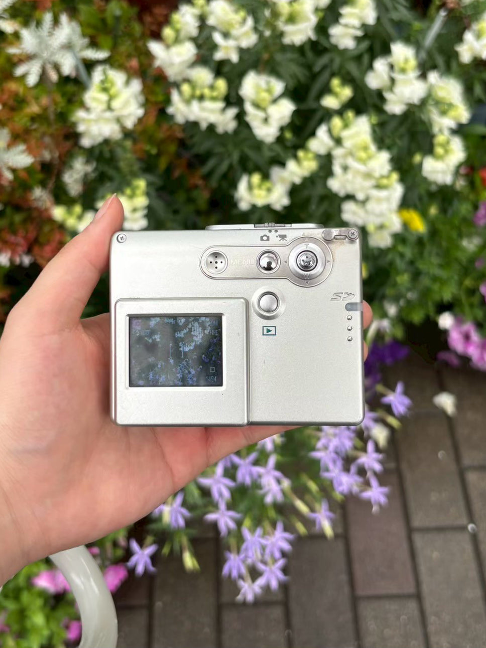KONICA MINOLTA DIMAGE X31