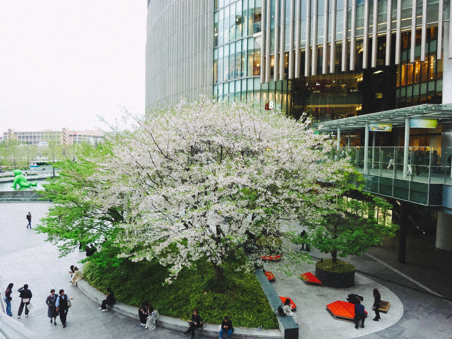 Panasonic LUMIX DMC-ZX1