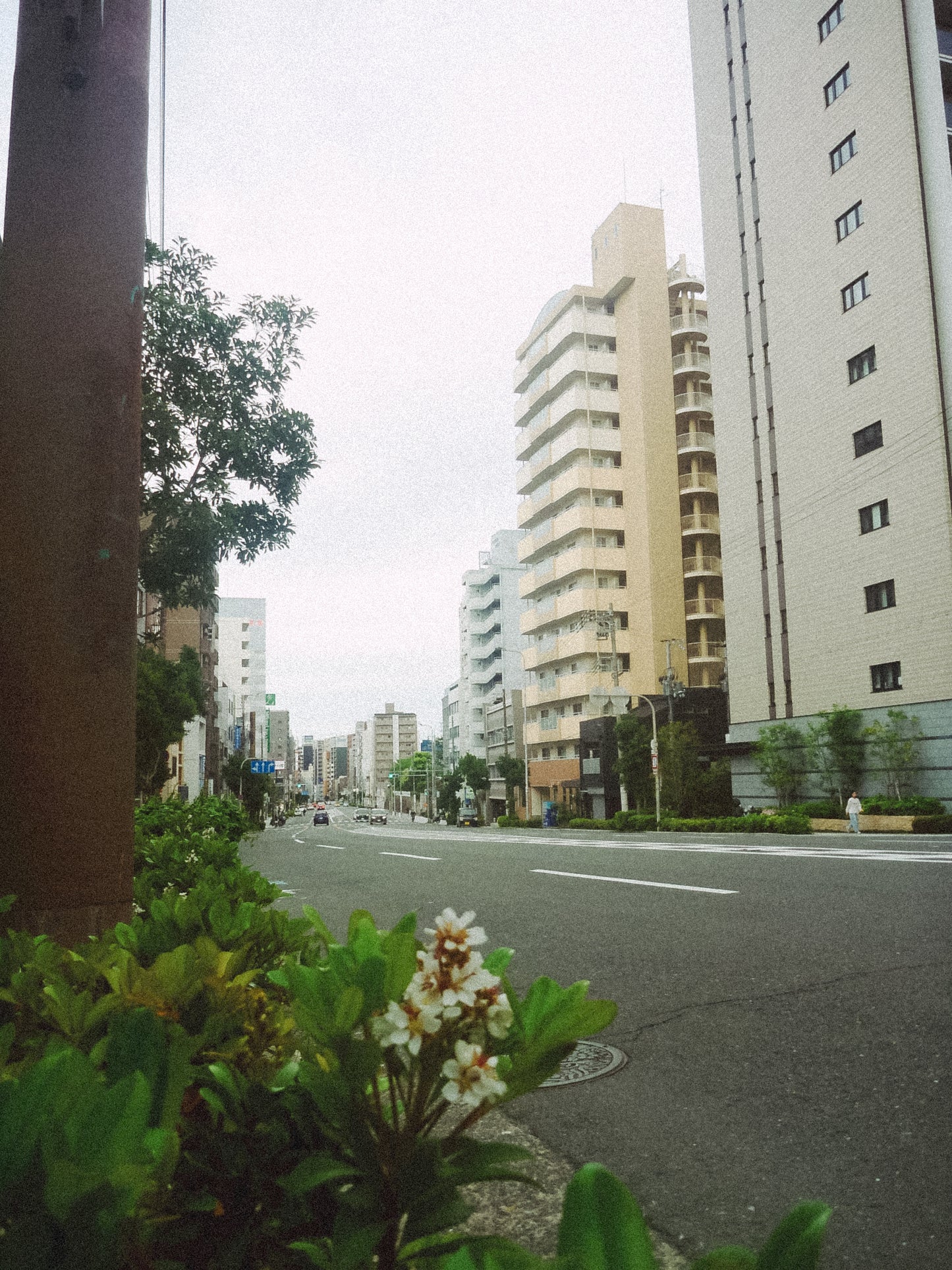 LUMIX DMC-FT1