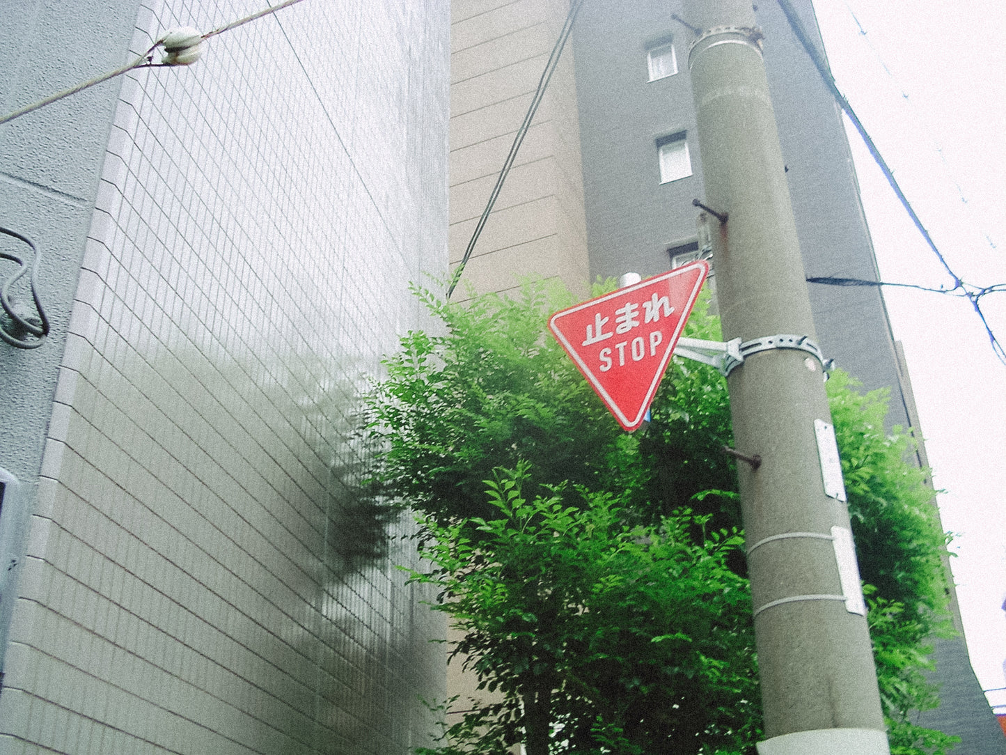 SANYO Xacti DSC-J1
