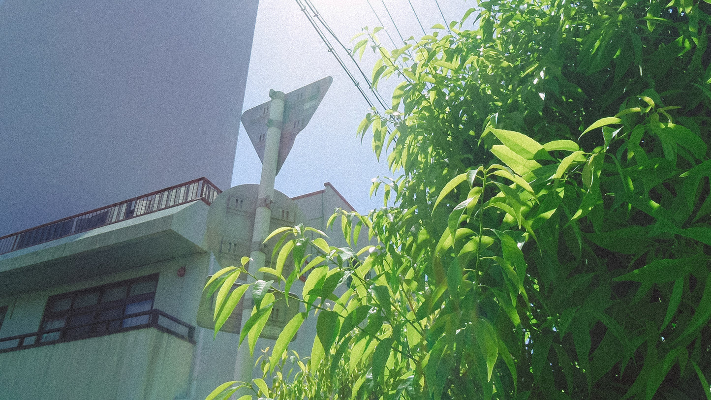 PENTAX Optio LS465