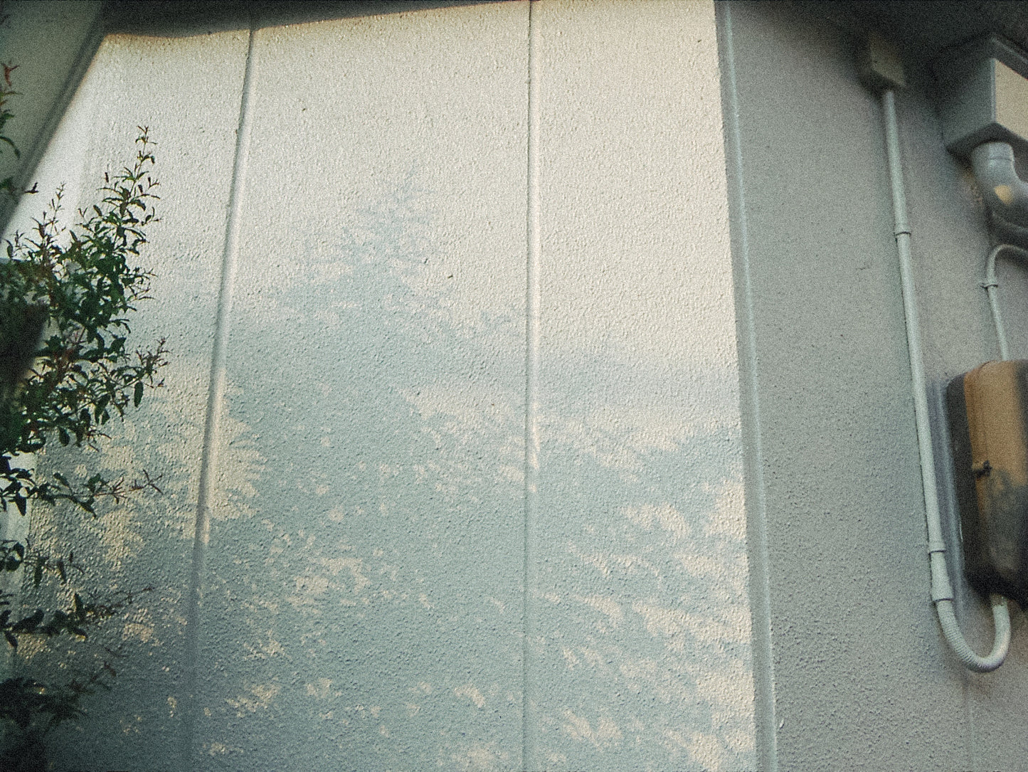 KONICAMINOLTA DIMAGE X21