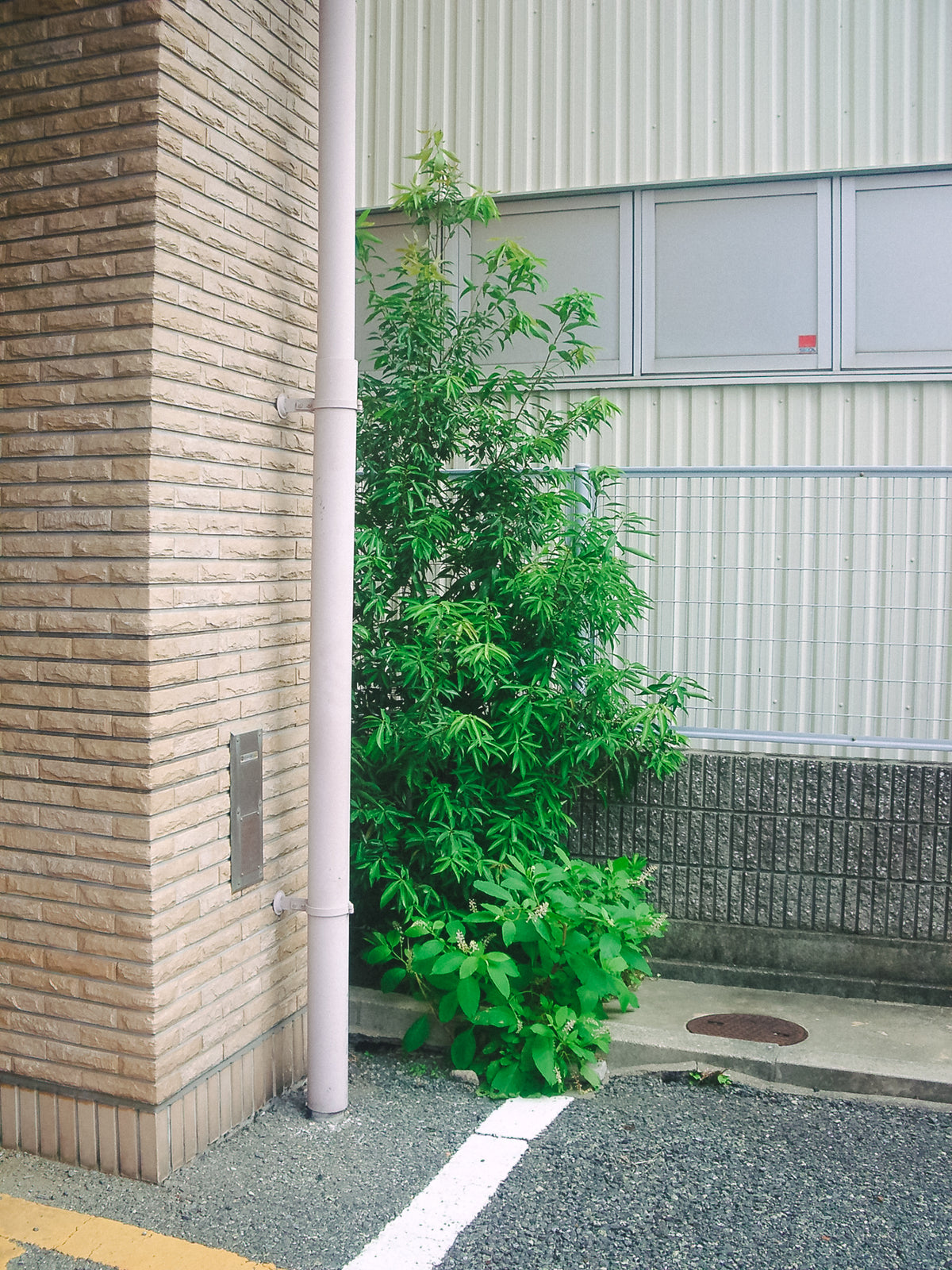 PENTAX Optio S5z