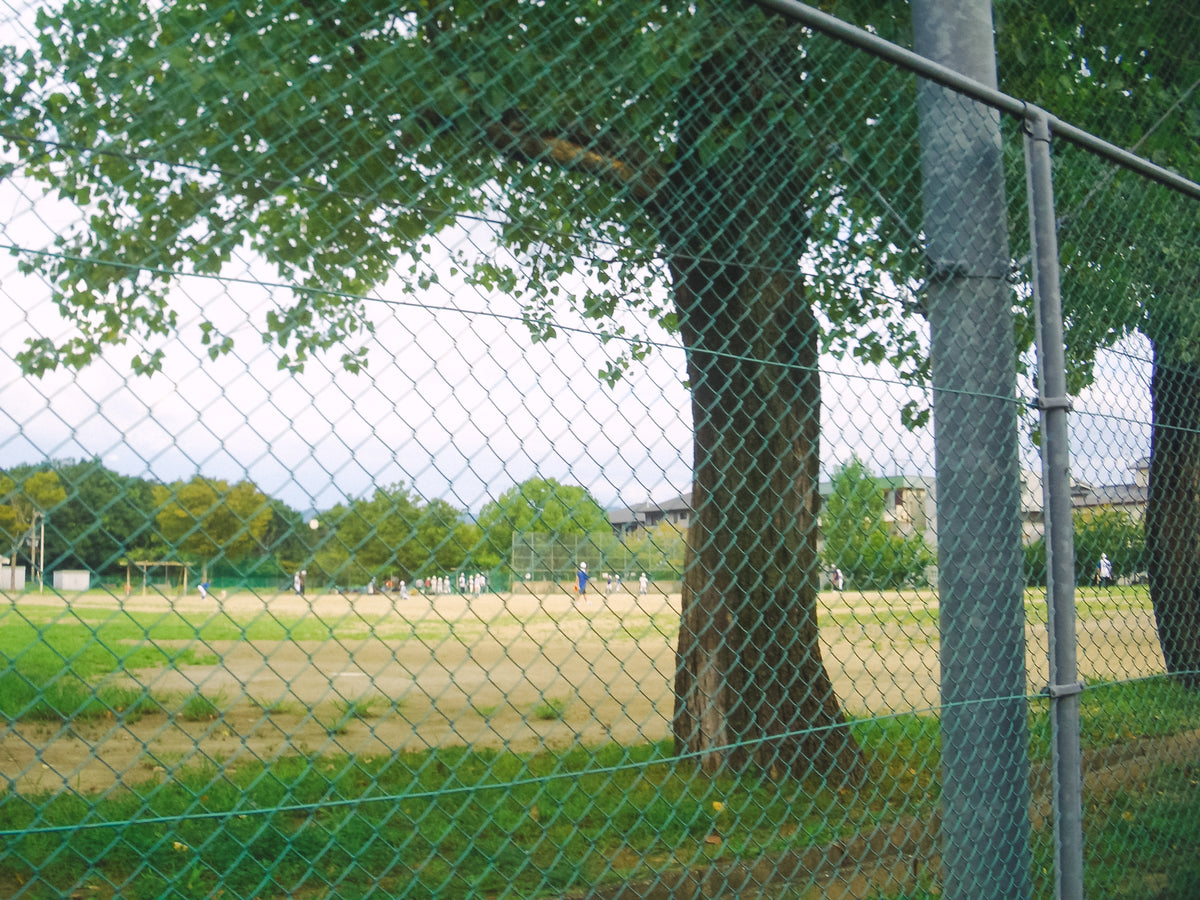 CASIO EXILIM ZOOM EX-Z55