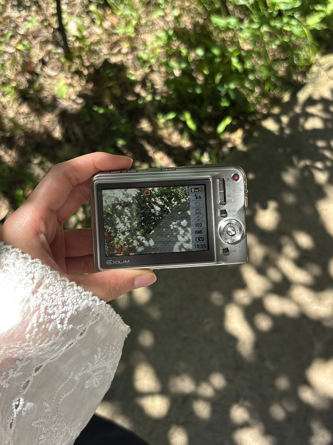 CASIO EXILIM CARD EX-S880